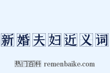 新婚夫妇近义词是什么意思的图片